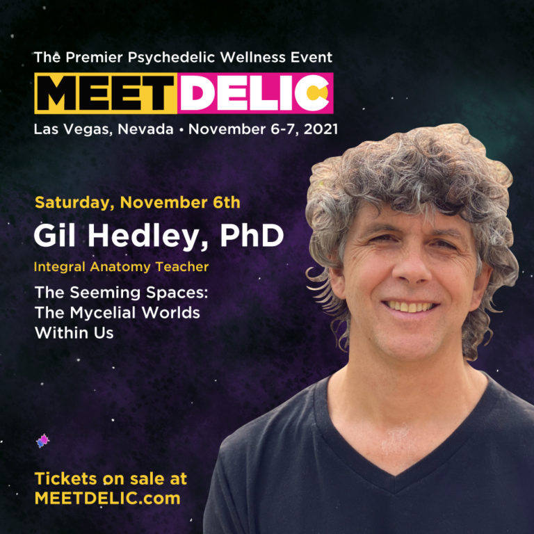 Gil Hedley headshot